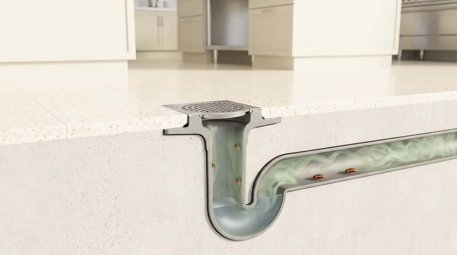 Cutaway illustration of drain flies inside a kitchen floor drain above the trap